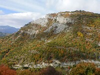 DSCN9466