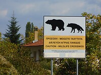 DSCN9489