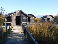 DSCN9581