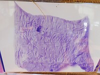 Foto van de meer dan 7000 jaar oude tablet van Dispilio….