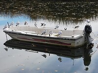 Lake Kastoria…..
