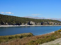 DSCN9800