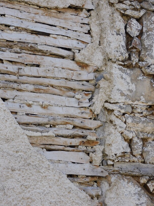 DSCN9805