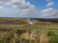 De boeren branden de velden, daarna wordt de as omgeploegd…..