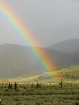 Regenboog in de buurt van Mycene….