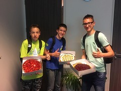 Top 3 lln sponsorgeld