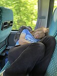 IMG_3750