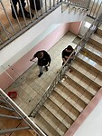 IMG_3799