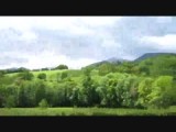 MVI_0653