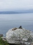 02 Cabo Finisterre 11