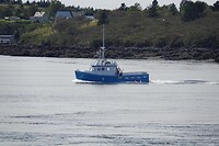 Whalewatch boot