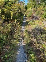 Portsers Lake trail