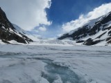 Athabasca Glacier