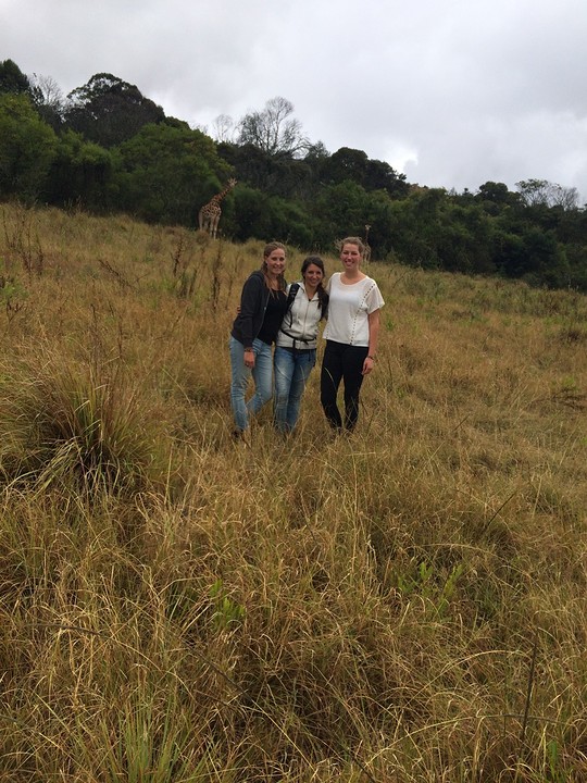 Krugerfarm