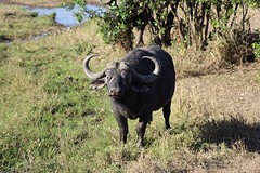 IMG_0078