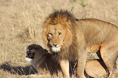 IMG_0190