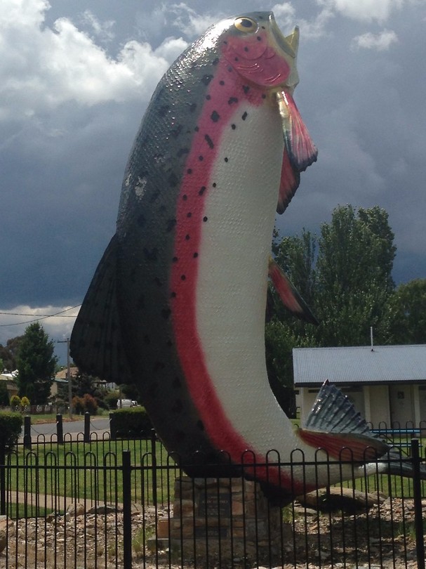 De grote forel