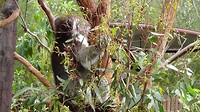 DSC00140
