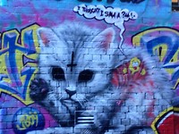 street art10