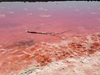 Pink lake3