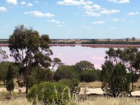 Pink lake4