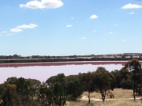 Pink lake5