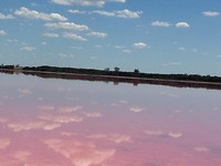 Pink lake6