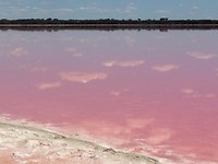 Pink lake8