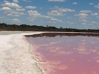 Pink lake10