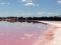 Pink lake11