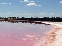 Pink lake12