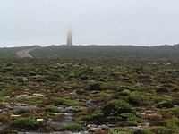 Vuurtoren