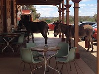 Silverton Hotel