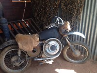 Mad Max2 Museum
