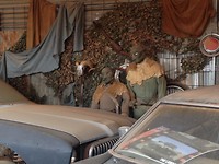 Mad Max2 Museum
