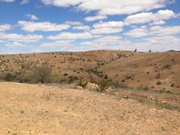 mundi mundi lookout