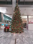 20221205_074546