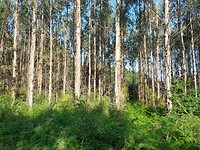 20230524_094621