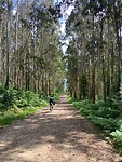 IMG-20230527-WA0016