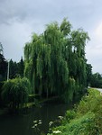 8BDA2D78-0E17-44AC-B9ED-2AC97F0F0D0F