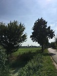 53B35146-529D-44B2-9C4A-651FFB2F7845