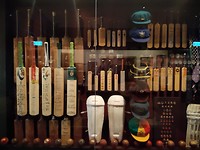 Cricket