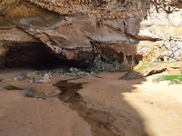P91022-162201