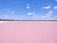 Pink Lake
