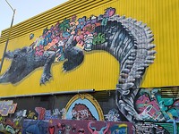 Muurschildering Darwin