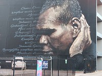 Muurschildering Darwin