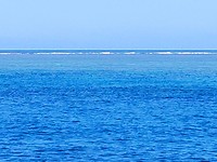 Reef