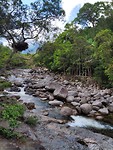 Mossman gorge