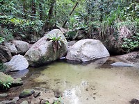 Mossman gorge