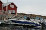 IMG_7502